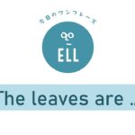 秋に使える英語フレーズ