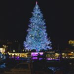 An Immigrant’s Christmas