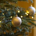 How do you like to spend Christmas?