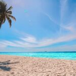 The Best Way to Go on Vacation on a Budget