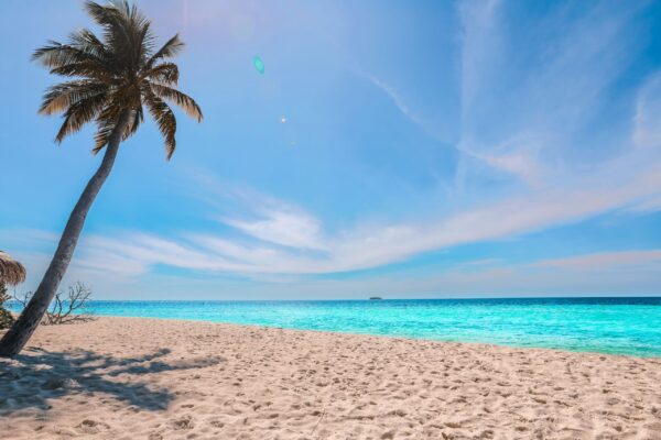 The Best Way to Go on Vacation on a Budget