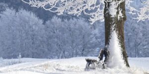 Exploring Toyama during Winter Vacation