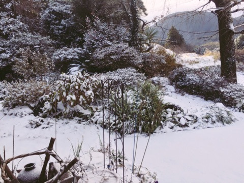 {2F4369A1-3285-4B57-BDD1-098E61860768:01}