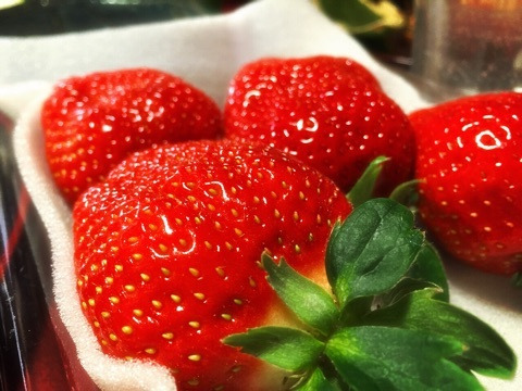 {AF6A71CB-F8B6-470B-9D70-AAC23D466499:01}