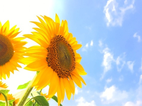 {AEE00131-8044-48C5-98B8-6FBDB5B72C81}