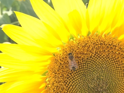 {97A4AABC-E2B3-43DE-B02E-C8C2C952B8F0}