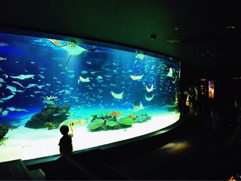 {4D23FE71-0AEF-4E3E-B26C-E4D34E73A12E}