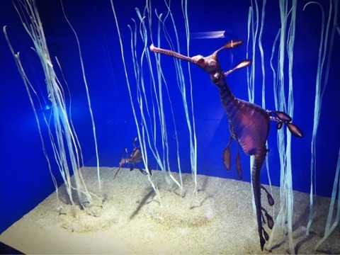 {790687DE-93A4-4A63-85E0-8F574094C914}