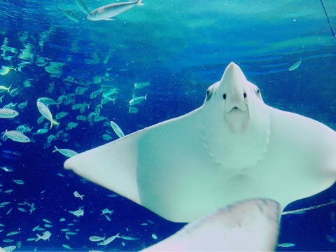 {07290EA6-CC60-4EAB-9AB2-289450C32B8C}