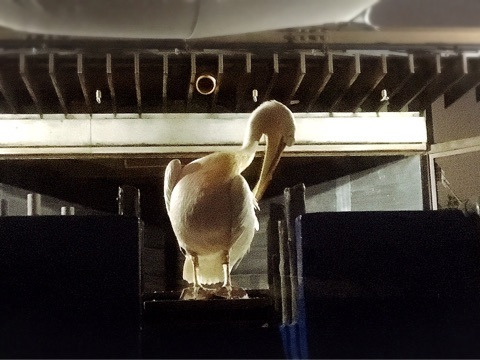 {44380768-7303-4FBB-8579-F06BD0863F91}