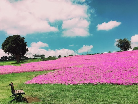 {F9EC2D8F-9D3B-4E3F-98F9-CF4C6F80CB60}