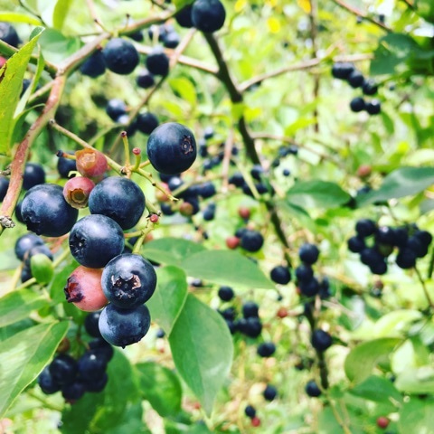 {39B04D8B-6C40-4823-9766-43F0B9018573}