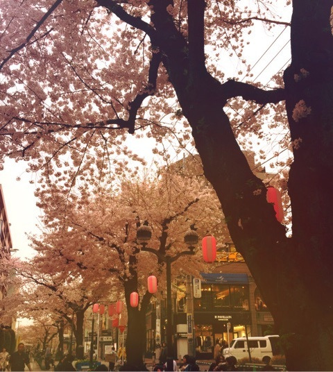 {C274F756-2CF2-46D0-BCB9-68ACFC3CADF8:01}