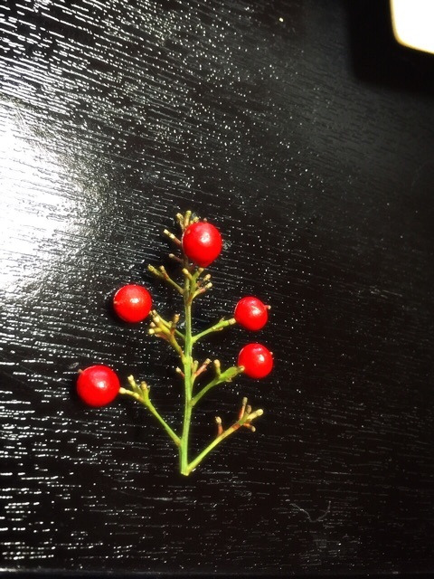 {E12DD519-1FBB-4C1D-9E4E-3E26B3A4BF34:01}