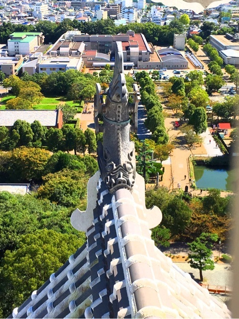 {0C8B2193-933D-4B12-A5AA-23B083A1B6D2}