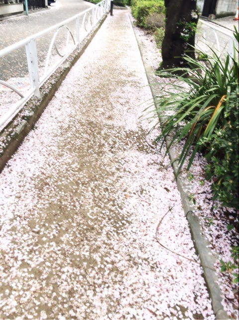 {7D613FC2-310A-406E-B048-54458264DB31}