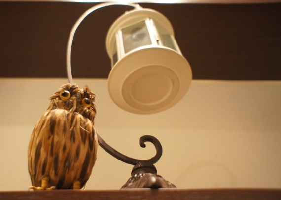 $ヤマちゃんの、社長！そんな英語はありません！