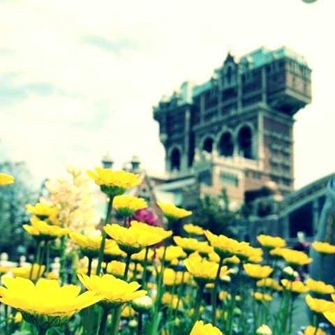 ヤマちゃんの、社長！そんな英語はありません！